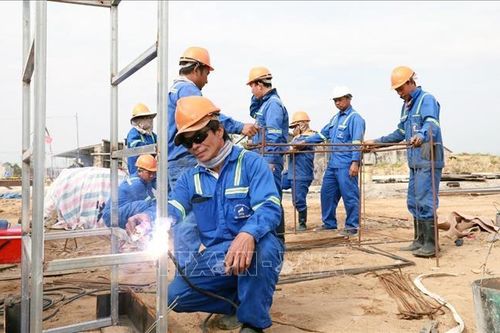 Thi công xuyên Tết trên công trường dự án cao tốc Chí Thạnh – Vân Phong