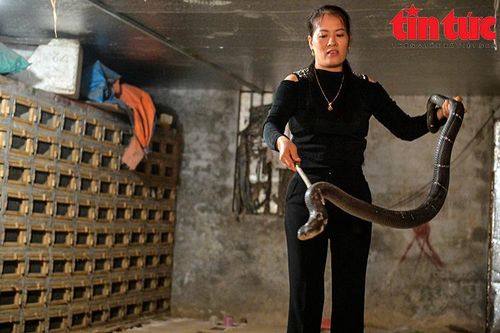 Về làng nuôi rắn Vĩnh Sơn