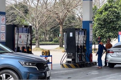 Lợi nhuận sau thuế năm 2024 Petrolimex vẫn tăng dù chịu tác động bất lợi của tỷ giá