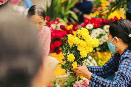 Sắc hoa rực rỡ ngày giáp Tết