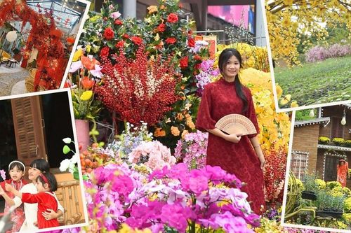 Những điểm check - in 'cực hot' tại TP Thanh Hóa dịp Tết