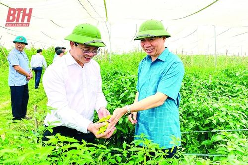 Nông Cống: Năm mới, thắng lợi mới