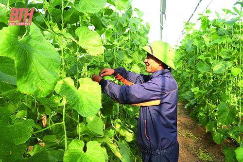 Thiệu Hóa vững tin bước vào xuân mới