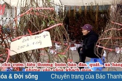 Chủ vườn, tiểu thương buôn đào, quất đồng loạt 'xả hàng'