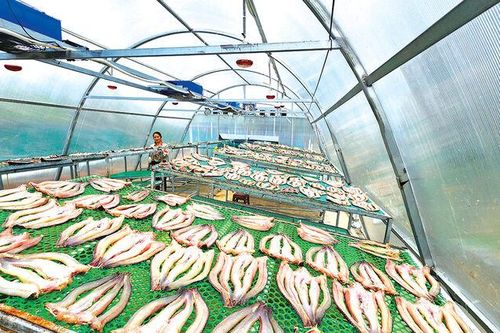 Phát triển kinh tế tuần hoàn
