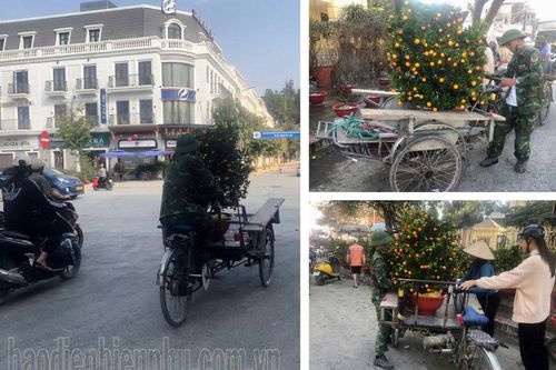 Tất bật nghề 'chở tết' cho khách ở Điện Biên