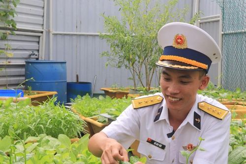Những vườn rau xanh mùa xuân của lính nhà giàn DK1