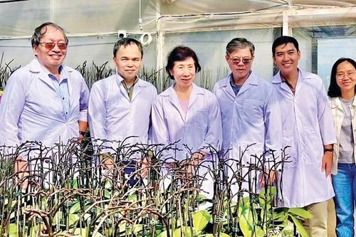 Thăm vườn lan hồ điệp công nghệ cao hiện đại nhất Gia Lai