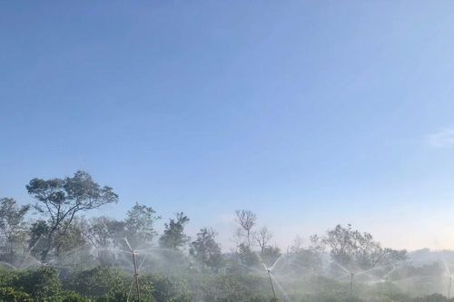 Người trồng cà phê tất bật vào vụ tưới nước