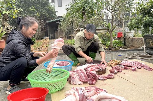 'Đụng lợn' ngày Tết