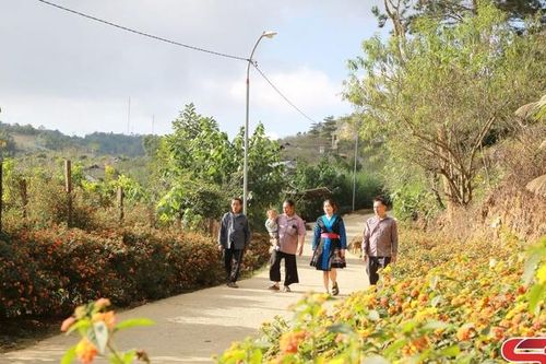 Xây dựng NTM theo hướng toàn diện