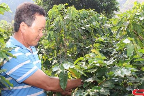 Ứng phó với biến đổi khí hậu