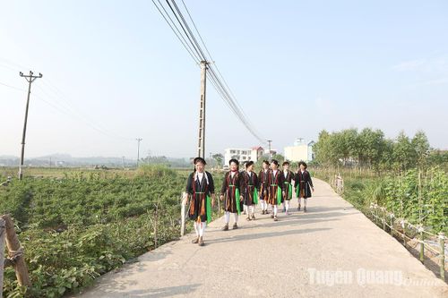 Xây dựng huyện Sơn Dương đạt chuẩn nông thôn mới