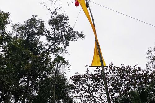 Huế: Giữ hồn Tết xưa với cây nêu tại Quốc tự Diệu Đế