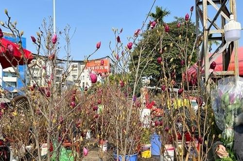 Ngày 28 Tết: Chợ hoa tấp nập, thực phẩm bình ổn giá
