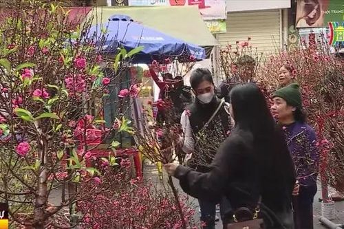 Nét xuân trong từng sắc hoa Hàng Lược