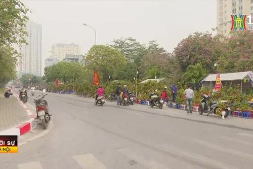 Xử lý nghiêm chợ hoa lấn chiếm lòng đường
