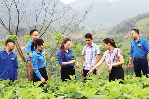 Góp sức trẻ xây dựng quê hương