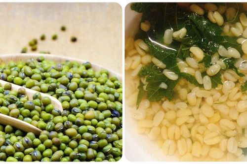 Cách nấu canh đậu xanh tía tô giải độc gan ngày Tết
