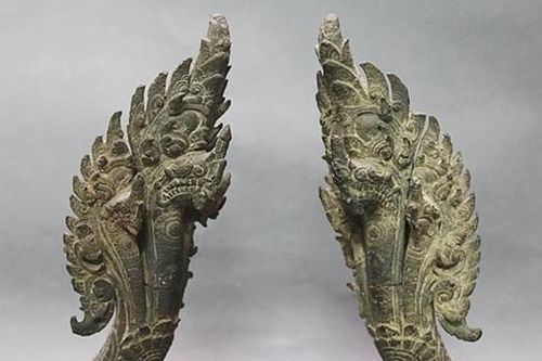 Những giấc mơ rắn