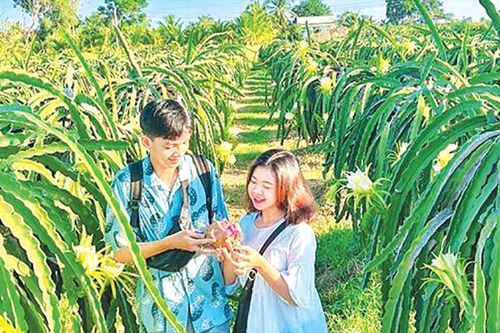Về quê đón Tết