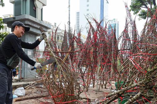Chiều 29 Tết: Đào, quất giảm giá 50%, tiểu thương 'xả hàng' về nghỉ Tết