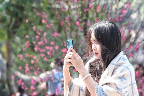 Nhiều người 'thả dáng' quanh hồ Gươm, bên hoa đào rực rỡ
