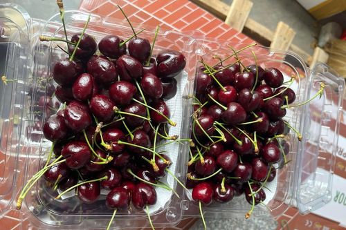 Cherry nhập khẩu giá rẻ 200.000 đồng/kg hút khách Tết