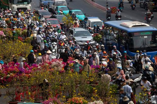 Đổ xô săn hoa 'đại hạ giá' ngày 29 Tết, đường phố TP.HCM ùn ứ