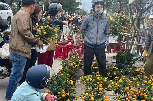Chợ hoa Xuân Quảng Ngãi: sức mua bật tăng vào ngày cuối năm