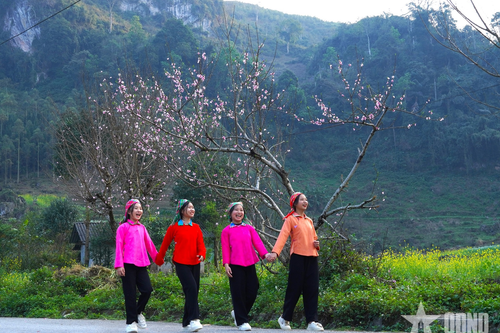 Xuân về 'miền đá nở hoa'