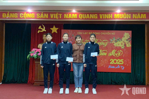 Chú trọng ươm mầm tài năng bóng chuyền