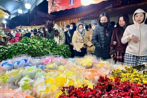 Đi chợ hoa Tết Quảng An ngày cuối năm, nhộn nhịp khách trả giá