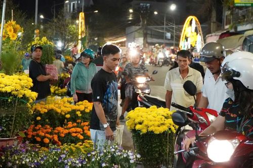 Đường hoa TP Cần Thơ tấp nập khách du Xuân