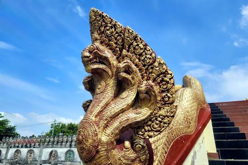 Huyền bí chuyện rắn hổ mây ở vùng Bảy Núi