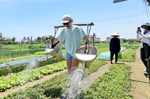 Sức hấp dẫn của làng rau Trà Quế - làng du lịch tốt nhất năm 2024 của Liên hợp quốc