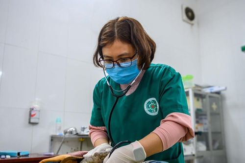 Chữa lành những vết thương của thiên nhiên
