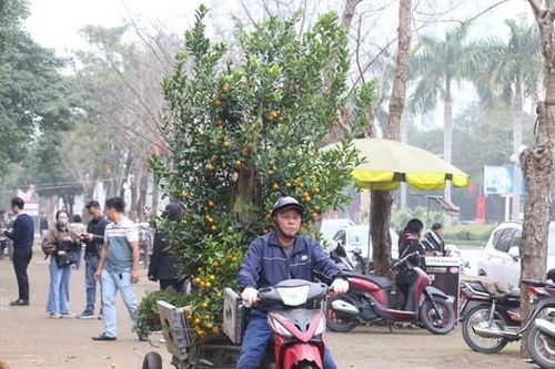 Thu nhập của 'người chở mùa xuân' giảm mạnh vụ Tết