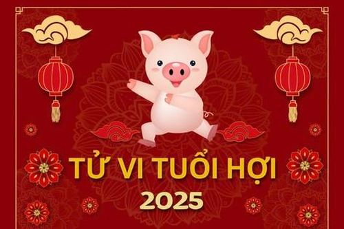 TỬ VI TUỔI HỢI 2025: Cách vượt qua hạn Tam Tai và Thái Tuế vây hãm