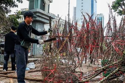 Hà Nội: Tiểu thương chặt bỏ đào ế trước khi rời chợ về quê ăn Tết