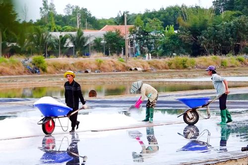Tết buồn của những diêm dân