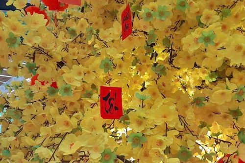 Lời chúc Tết người yêu, vợ chồng ngọt ngào và ý nghĩa