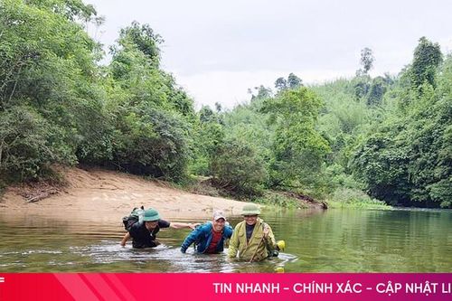 'Gác' Tết bảo vệ rừng