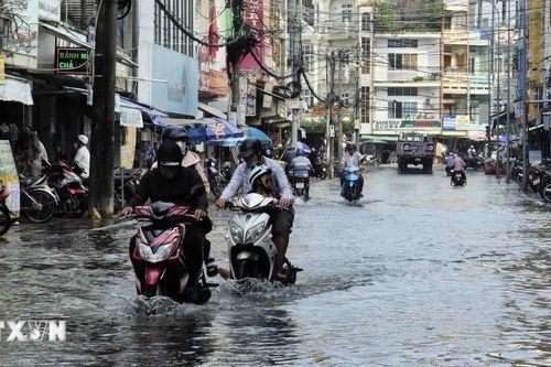 Đề phòng triều cường gây ngập vùng trũng thấp ven biển phía Đông Nam Bộ