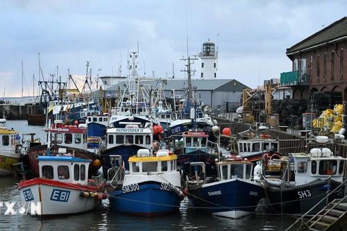 Anh và EU đối đầu lần đầu tiên tại tòa án về quyền đánh bắt cá sau Brexit