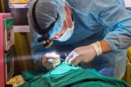 Gửi lại sự sống để hồi sinh sự sống