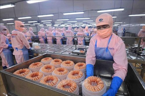 Nhân dân vùng cực Nam vững niềm tin đón Xuân mới