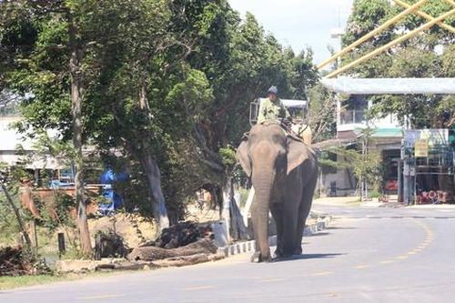 Người M'Nông bên hồ Lắk - Bài 2: 'Đổi đời' nhờ phát triển du lịch
