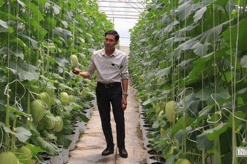 Đắk Nông khẳng định chiến lược nông nghiệp công nghệ cao là bước đột phá