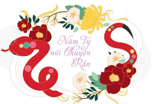 Năm Tỵ nói chuyện Rắn